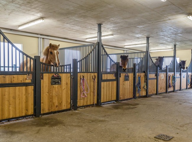 Pferde in den Boxen im Stall