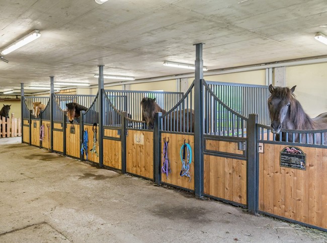 Unsere Pferde in ihren Boxen im Stall