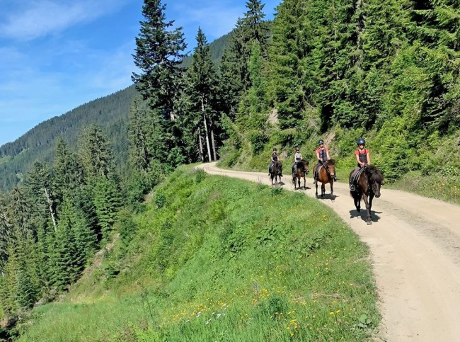 Ausritt in die herrliche Natur