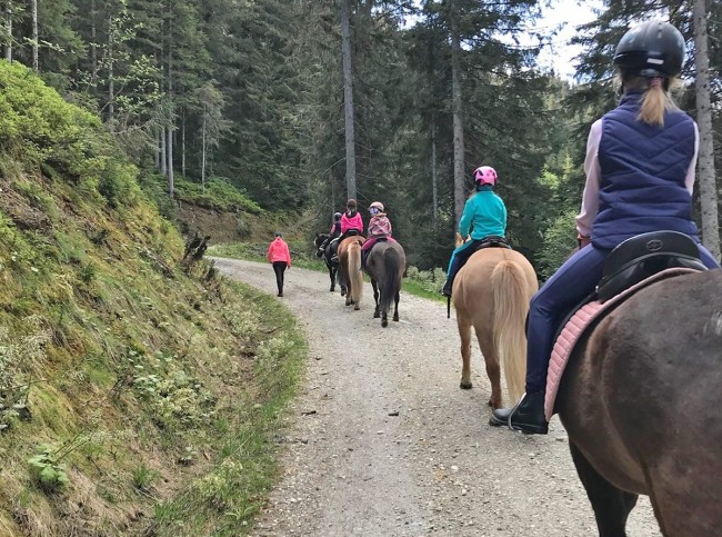 Ausritt mit der Gruppe