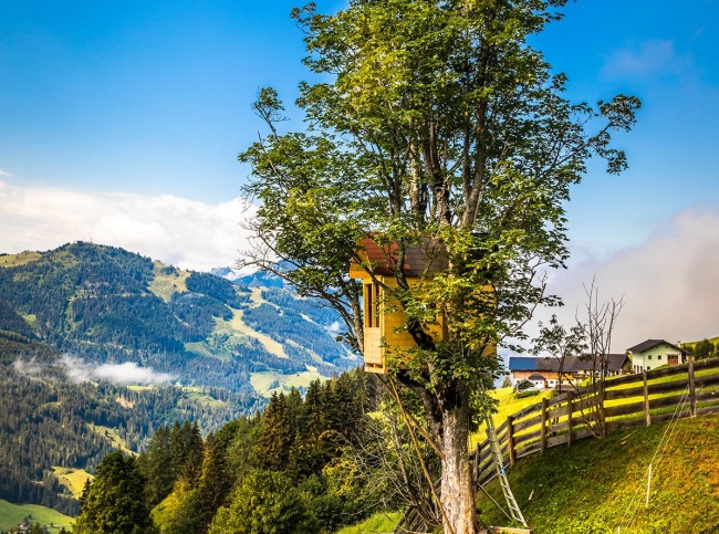 Baumhaus mit traumhaftem Ausblick ins Tal nach Wagrain